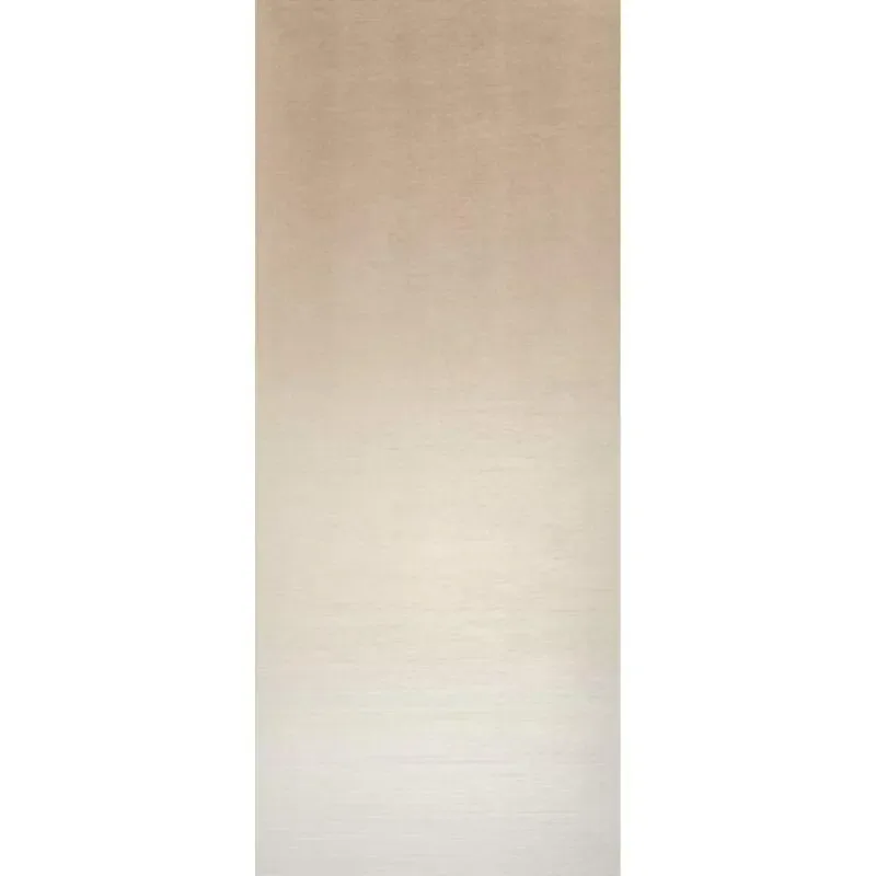 Iridea Degrade Cannella 50x120 J656