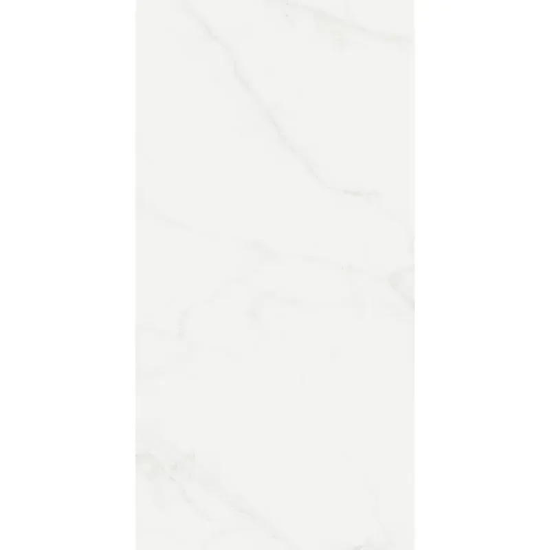 Scultorea Delicata Calacatta Velato Reflex 60x120 K225