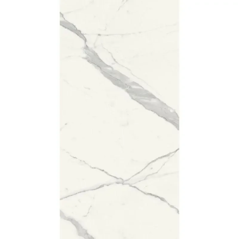Scultorea Statuario Vena Argento Reflex 60x120 J441