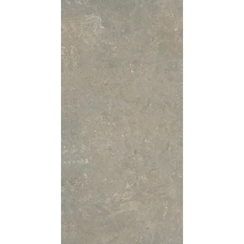Arkistyle Fossil 60x120 J211