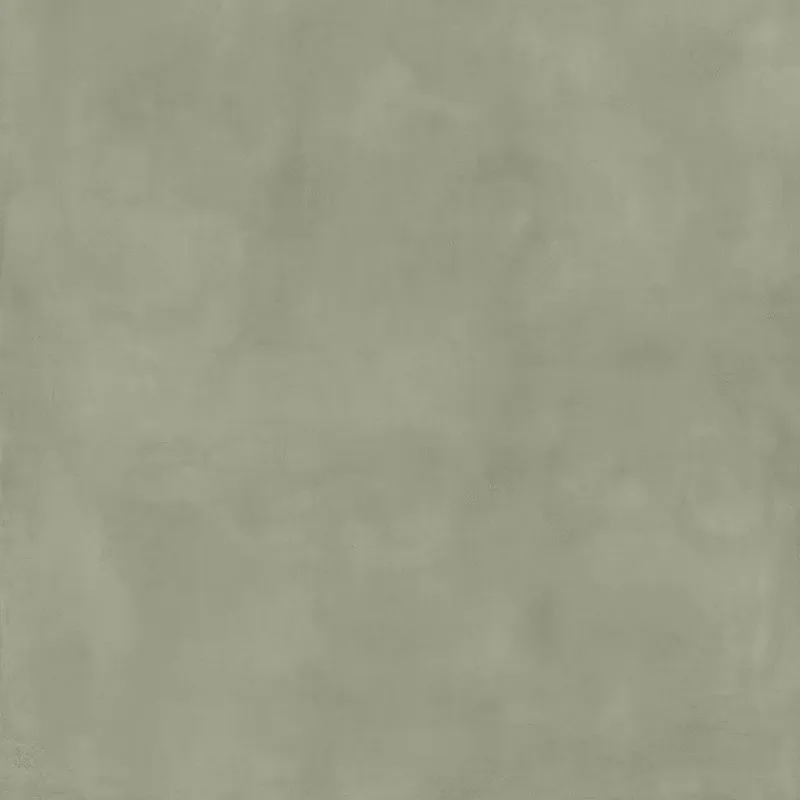 Multiforme Lichene 120x120 I829