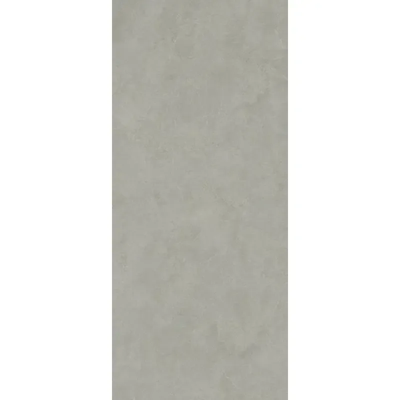 Arkigeo Cenere 120x278 J755