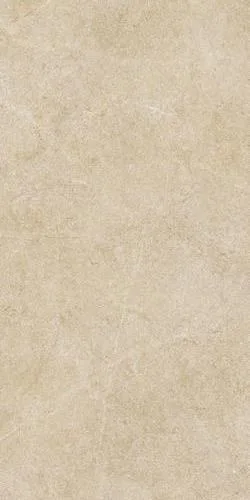 Argent Miele PTV RT 30x60 R9KY
