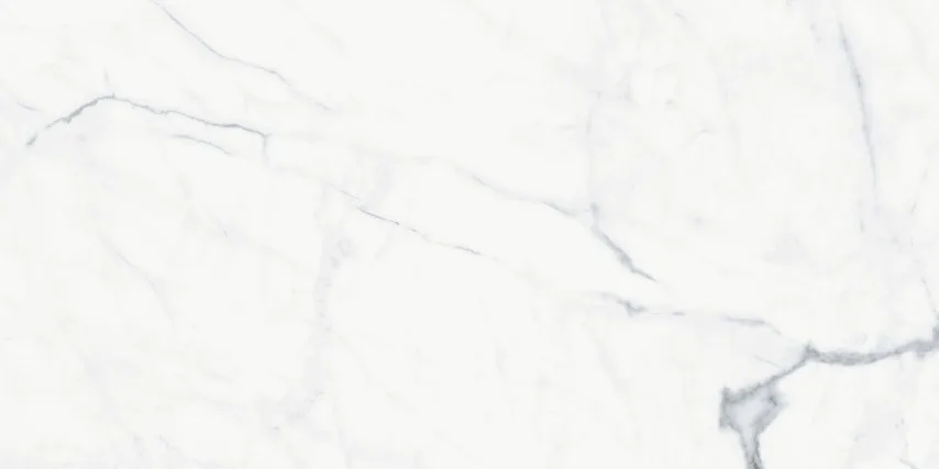Mythos Statuario White RT 60x120 RDJ5