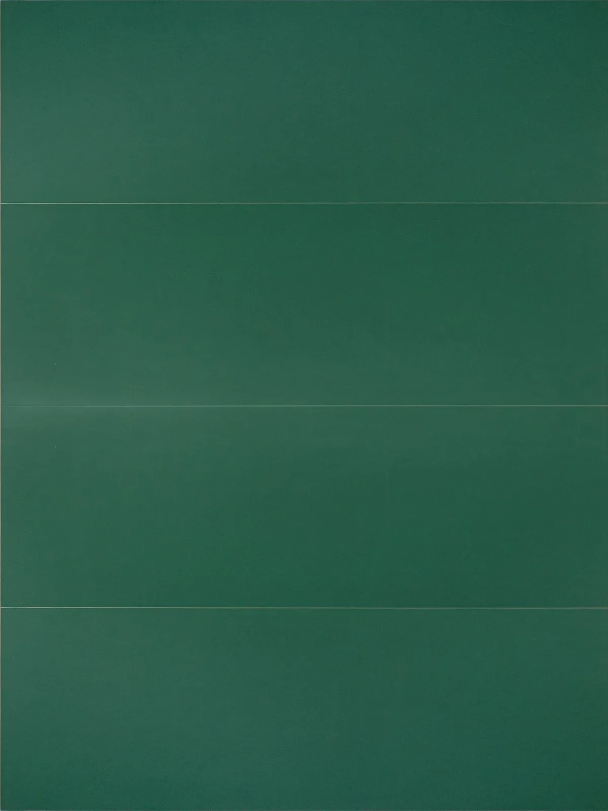 Lucida Forest RT 30x90 RCR8