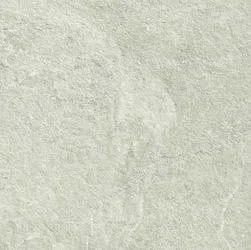 Slate Shell STR RT 30x60 R6YT