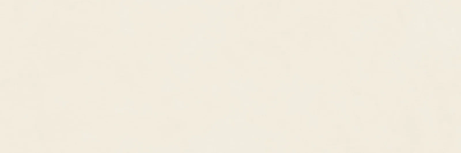 Vida Beige RT 30x90 RA6C