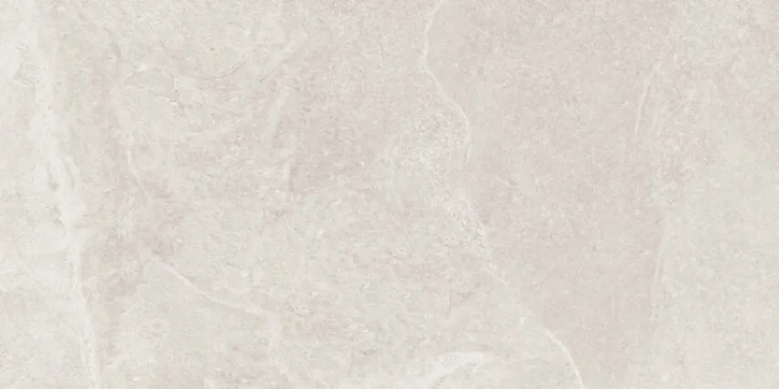 Slate Ice RT 30x60 R5ZL