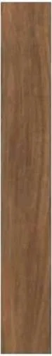 Woodessence Walnut 10x70 R4MG