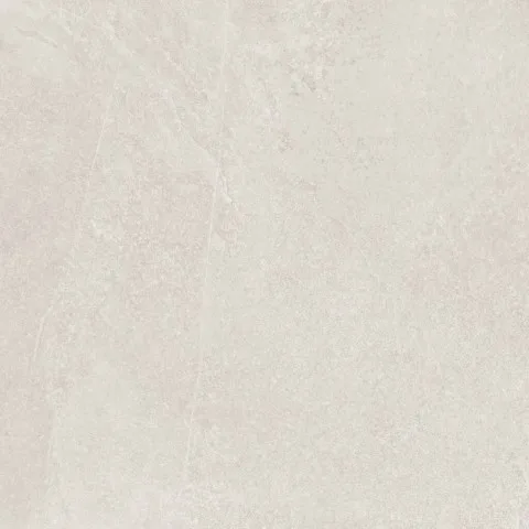 Slate Ice RT 60x60 R5ZF