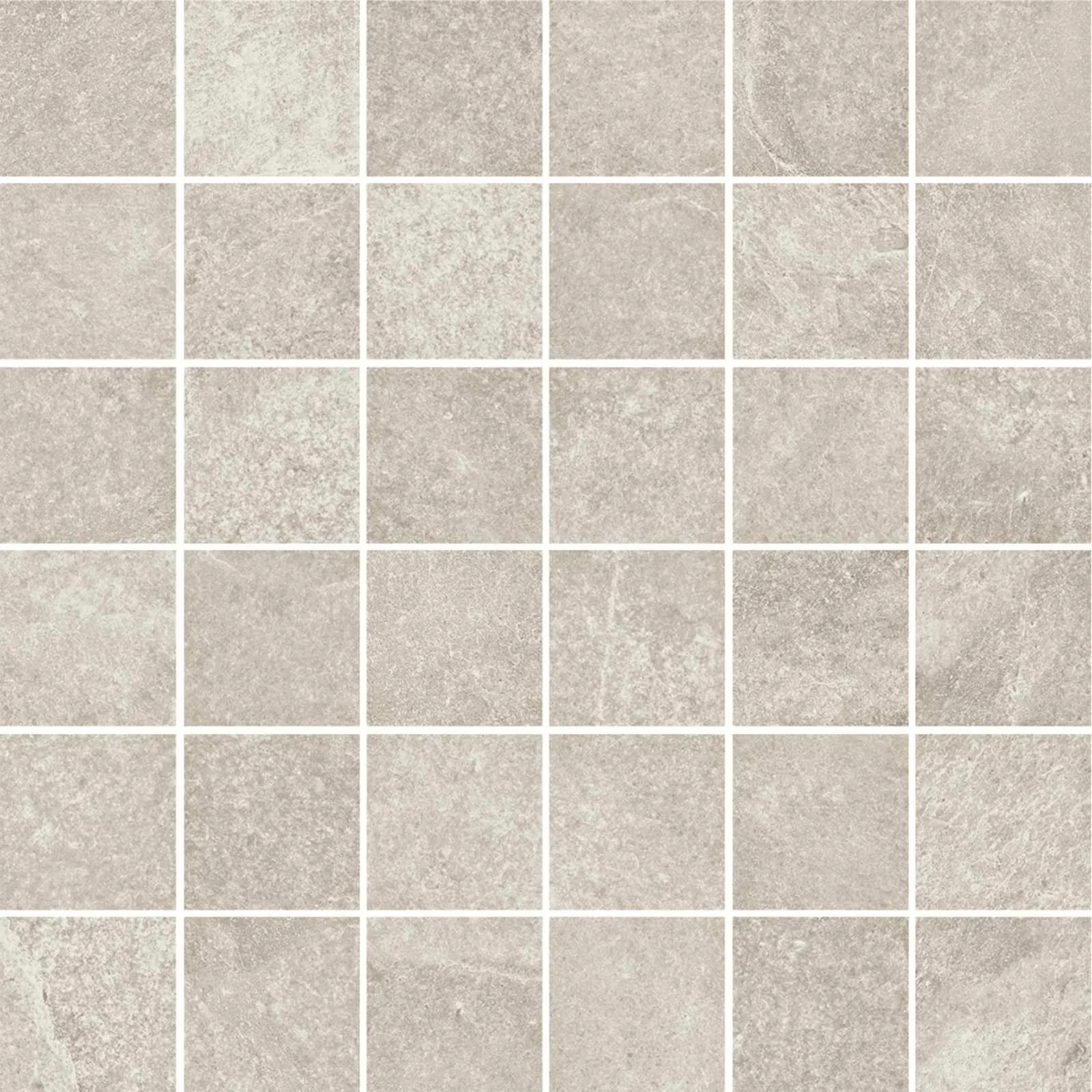 Slate Shell Mosaico Tessera 5X5 30x30 R6GS