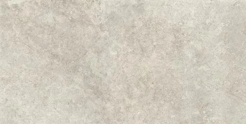 Richmond Taupe RT 60x120 RAFV