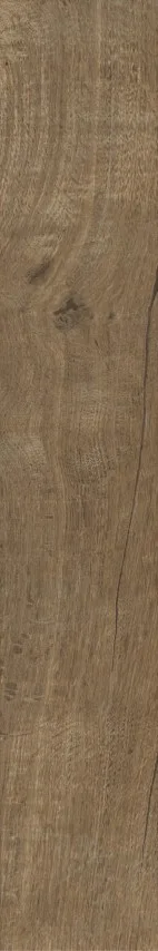 Nodis Rovere 10x70 RDGG