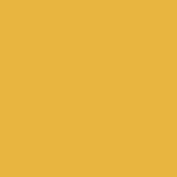 Unitech Giallo 20x20 R1NQ