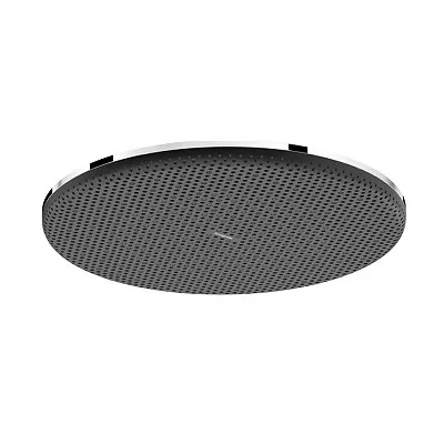 Hansgrohe Raindance Alive S 300 tuš ruža 224520000