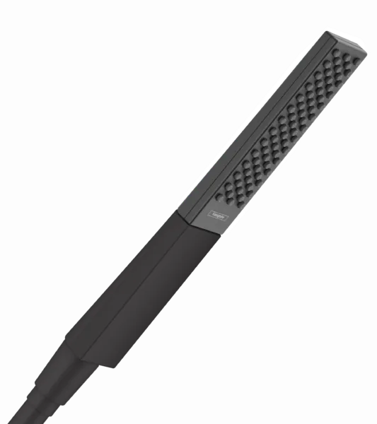 Hansgrohe Rainfinity matt black tuš ručica 1 mlaza 26866670