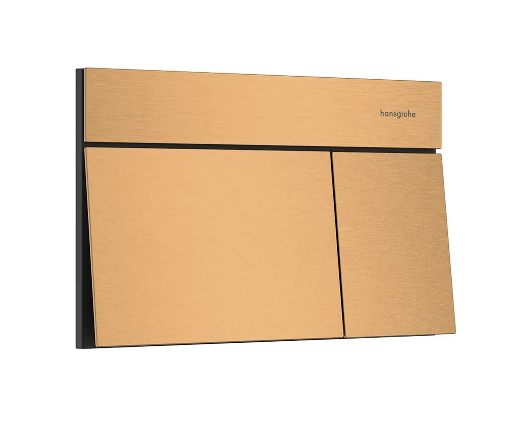 Hansgrohe iFrame tipka za aktiviranje Element E dvokoličinsko ispiranje 66003140