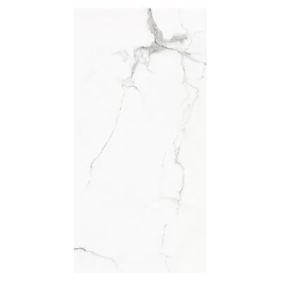 Lavish Greylac 60X120