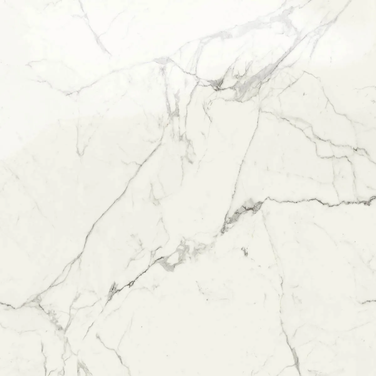Grande Marble Look 120x120 Grande Marble Look statuario lux M0G0