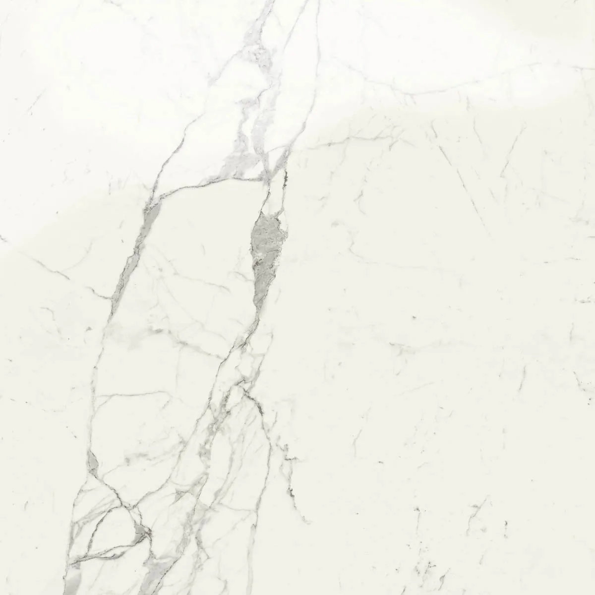 Grande Marble Look 120x120 Grande Marble Look statuario lux M0G0