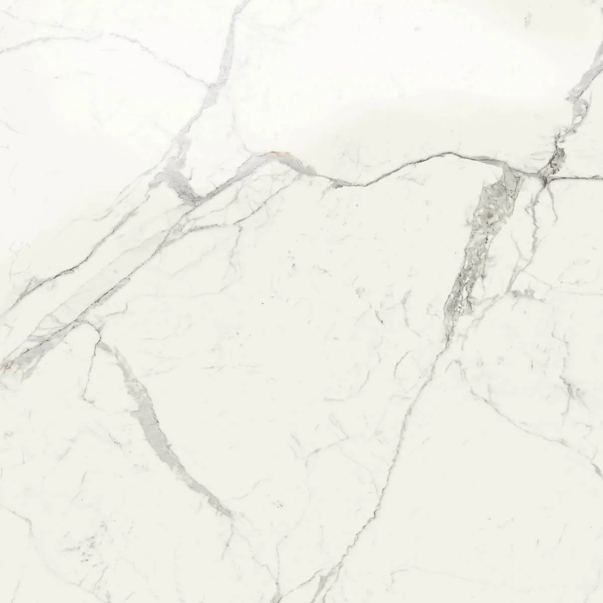 Grande Marble Look 120x120 Grande Marble Look statuario lux M0G0