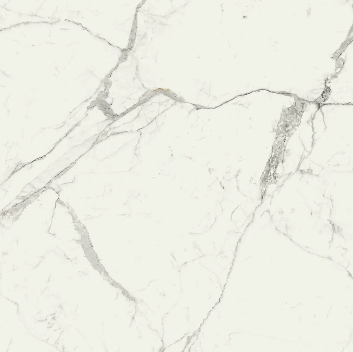 Grande Marble Look 120x120 Grande Marble Look statuario lux M0G0