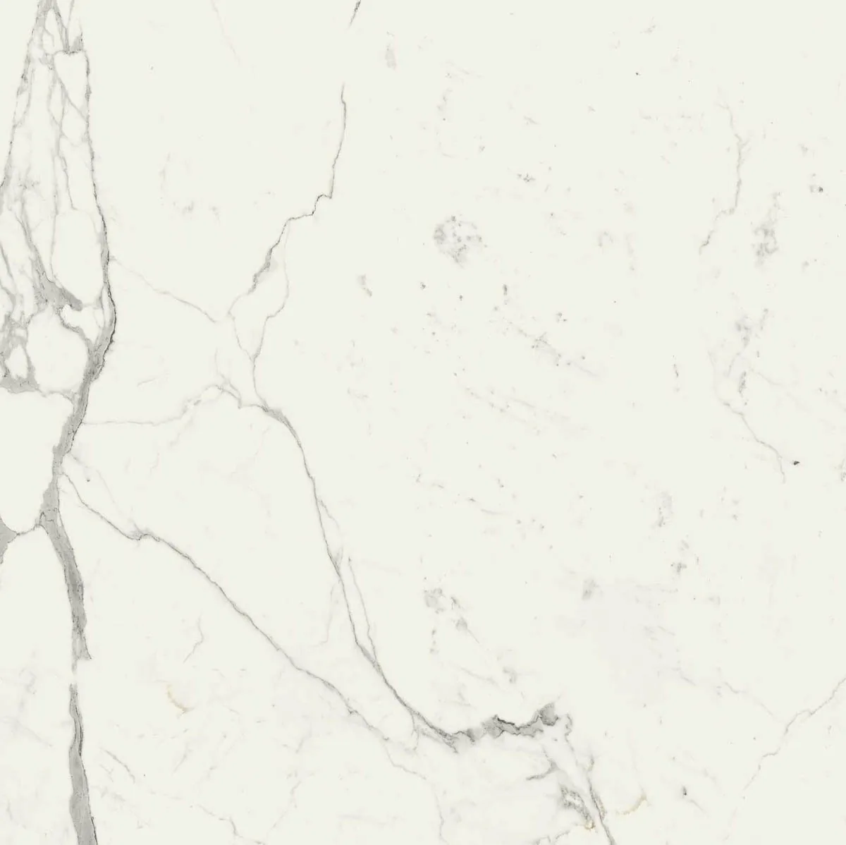 Grande Marble Look 120x120 Grande Marble Look statuario lux M0G0