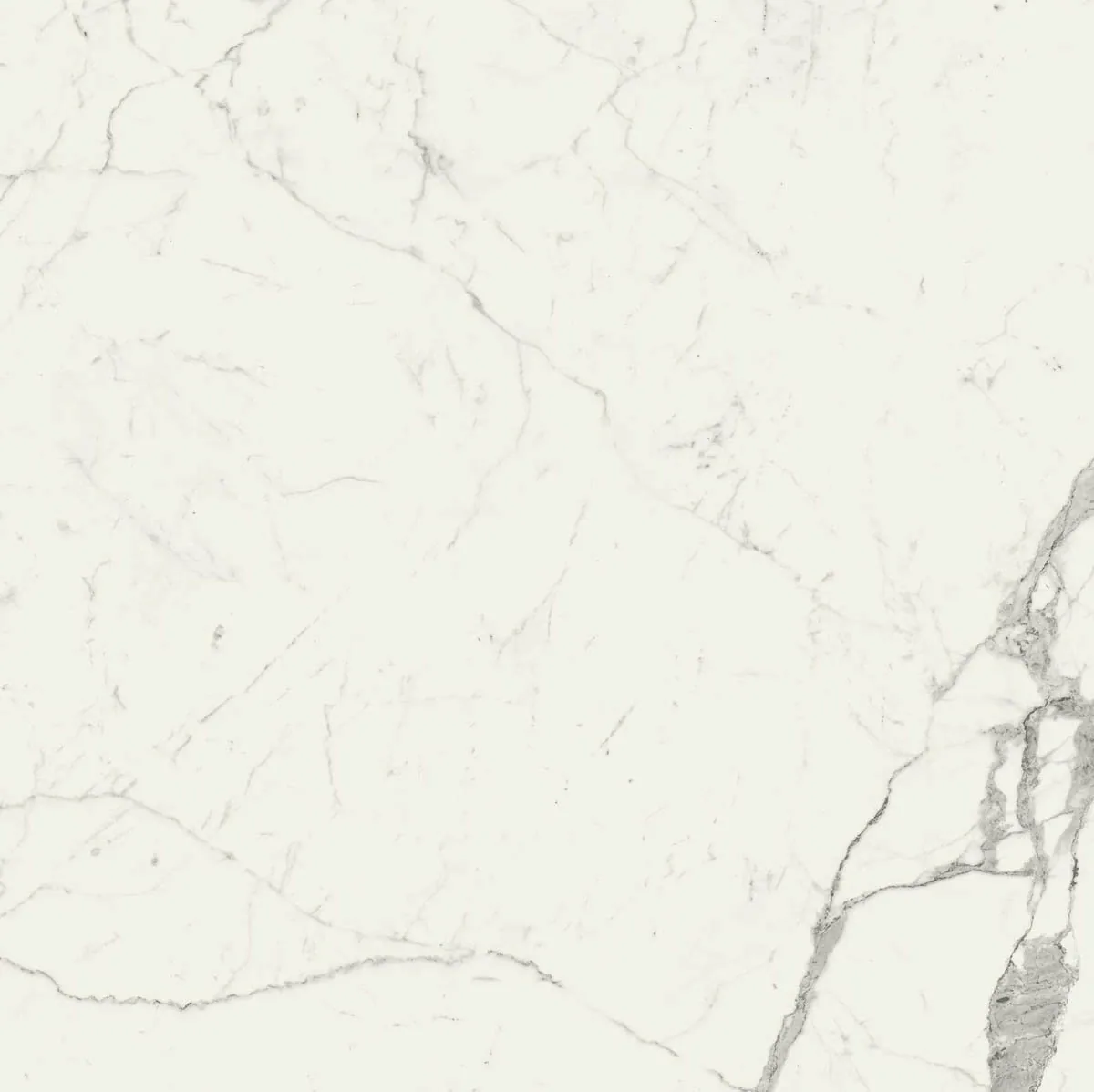Grande Marble Look 120x120 Grande Marble Look statuario lux M0G0