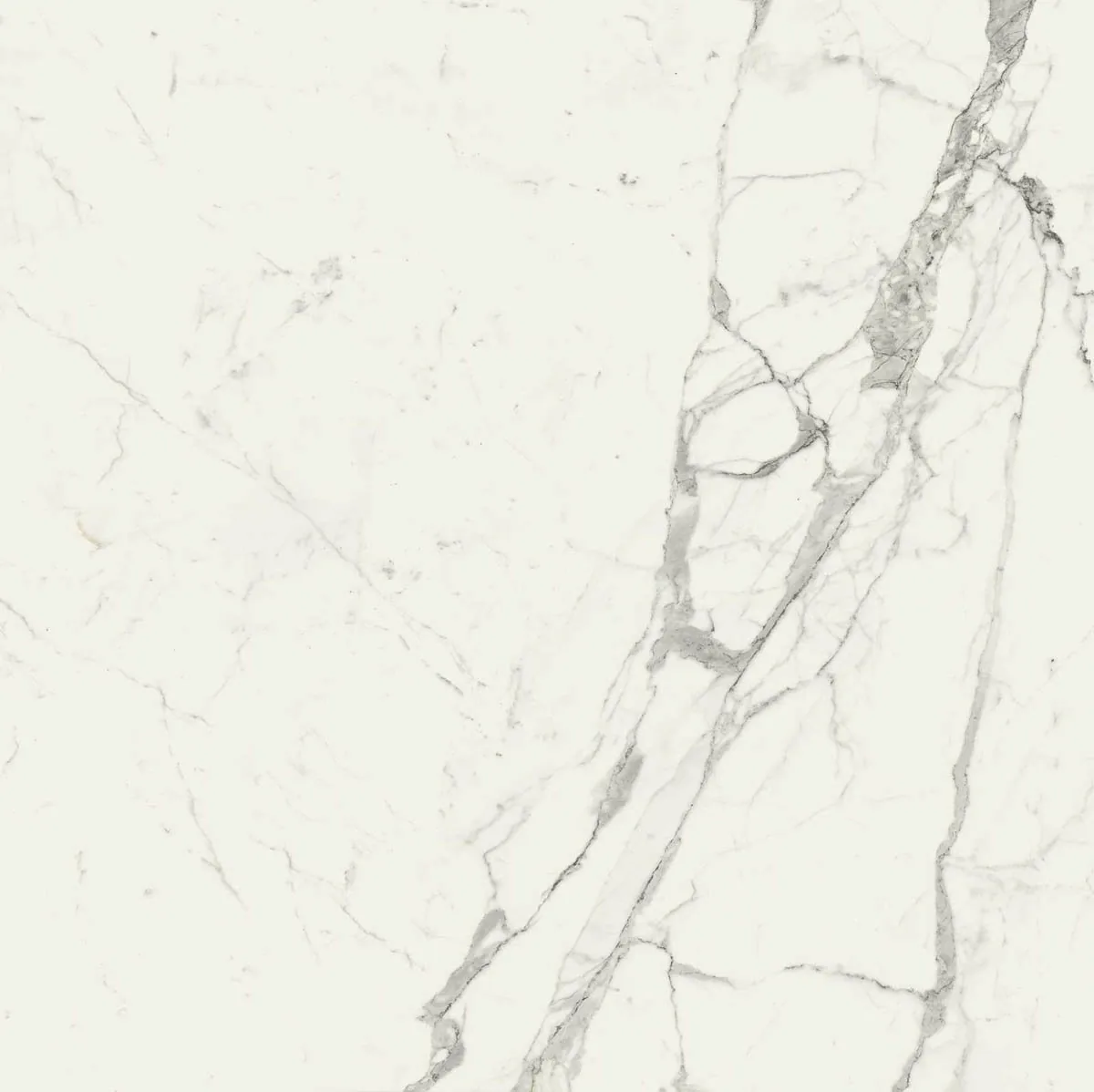 Grande Marble Look 120x120 Grande Marble Look statuario lux M0G0