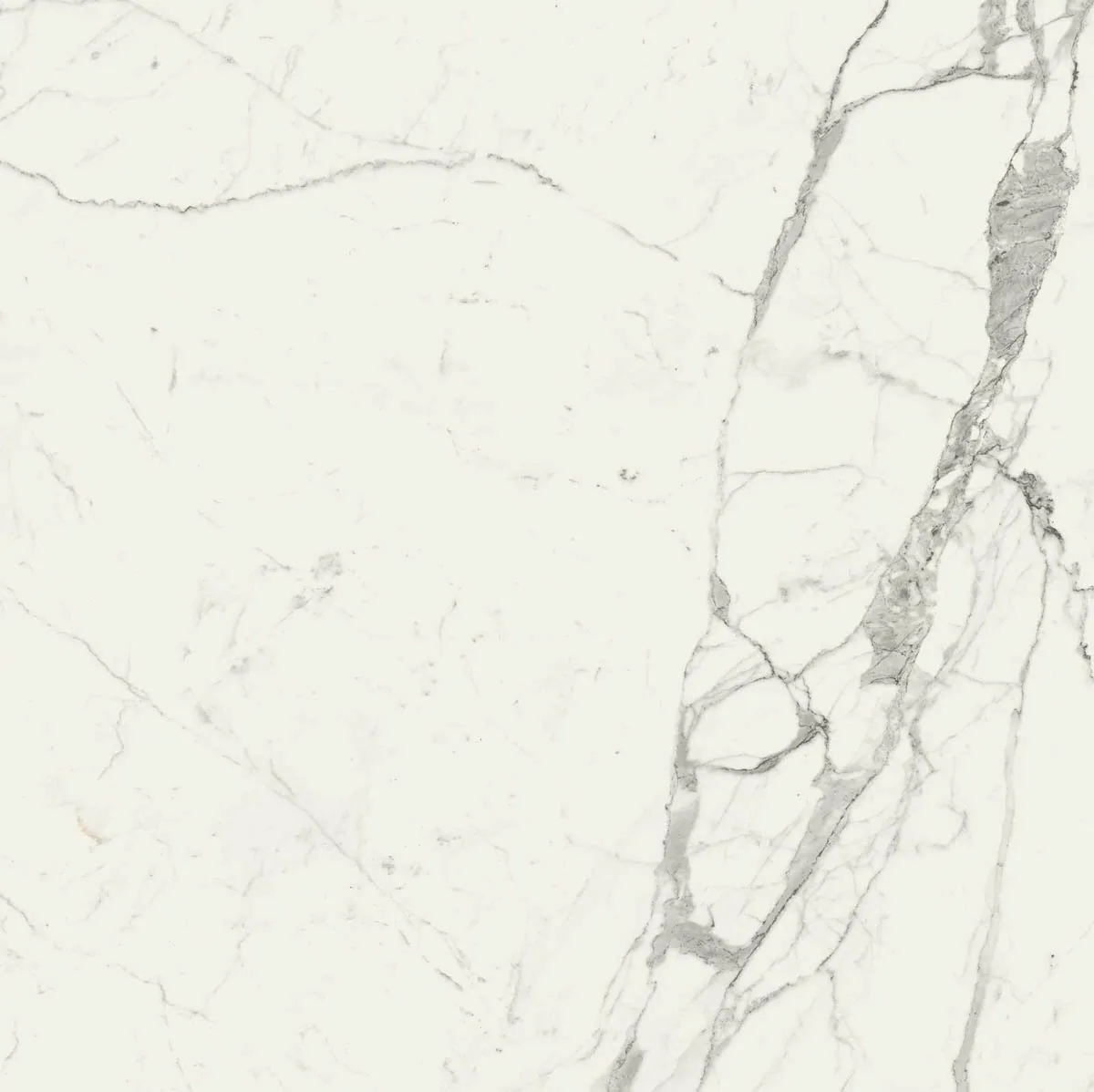 Grande Marble Look 120x120 Grande Marble Look statuario lux M0G0