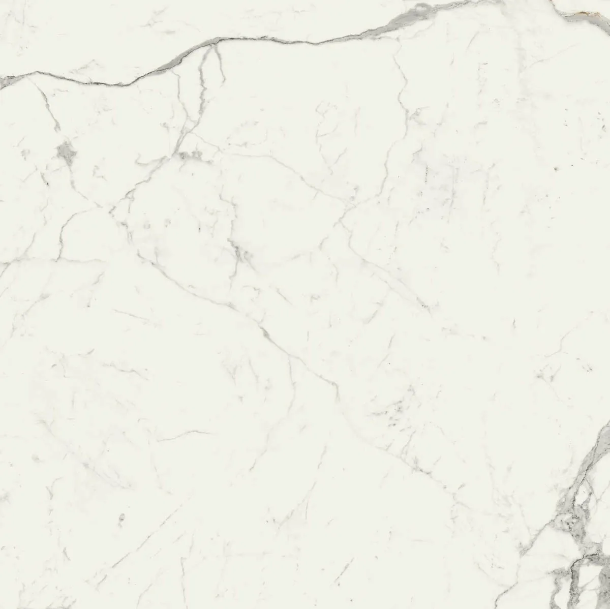 Grande Marble Look 120x120 Grande Marble Look statuario lux M0G0