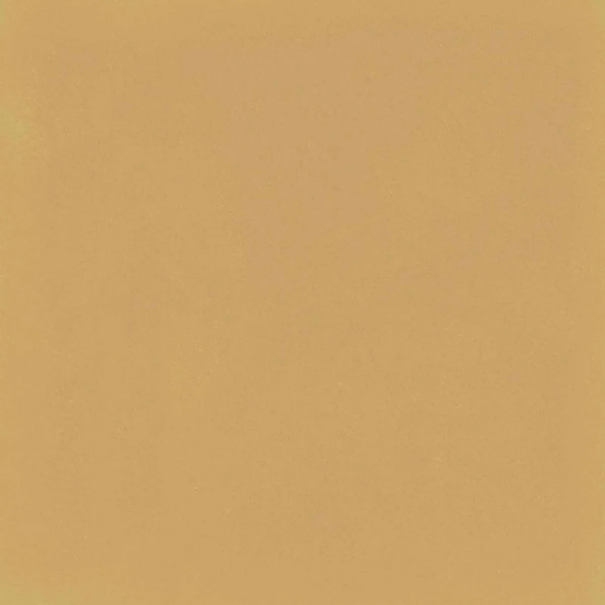 D_Segni Colore Mustard 20X20 M1KT