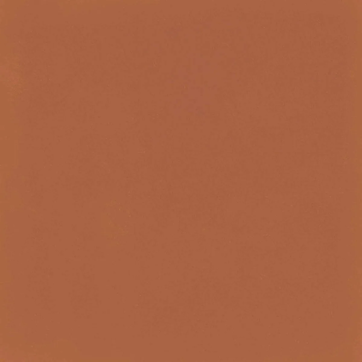 D_Segni Colore Tangerine 20X20 M1KU