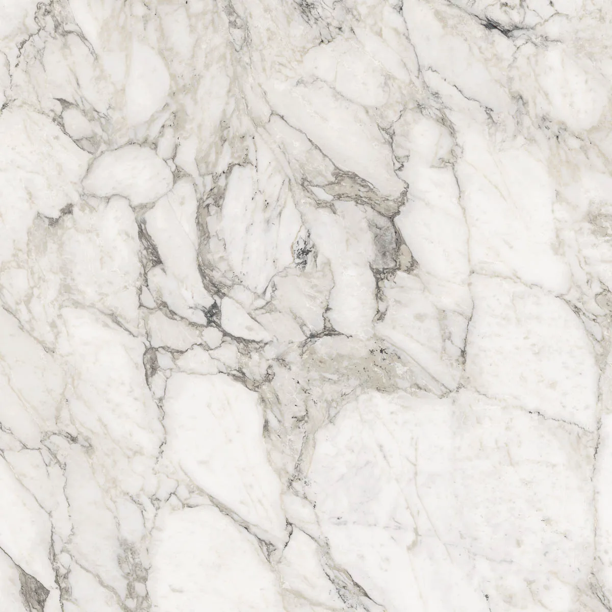 Grande Marble Look 120x120 Calacatta Extra M29N