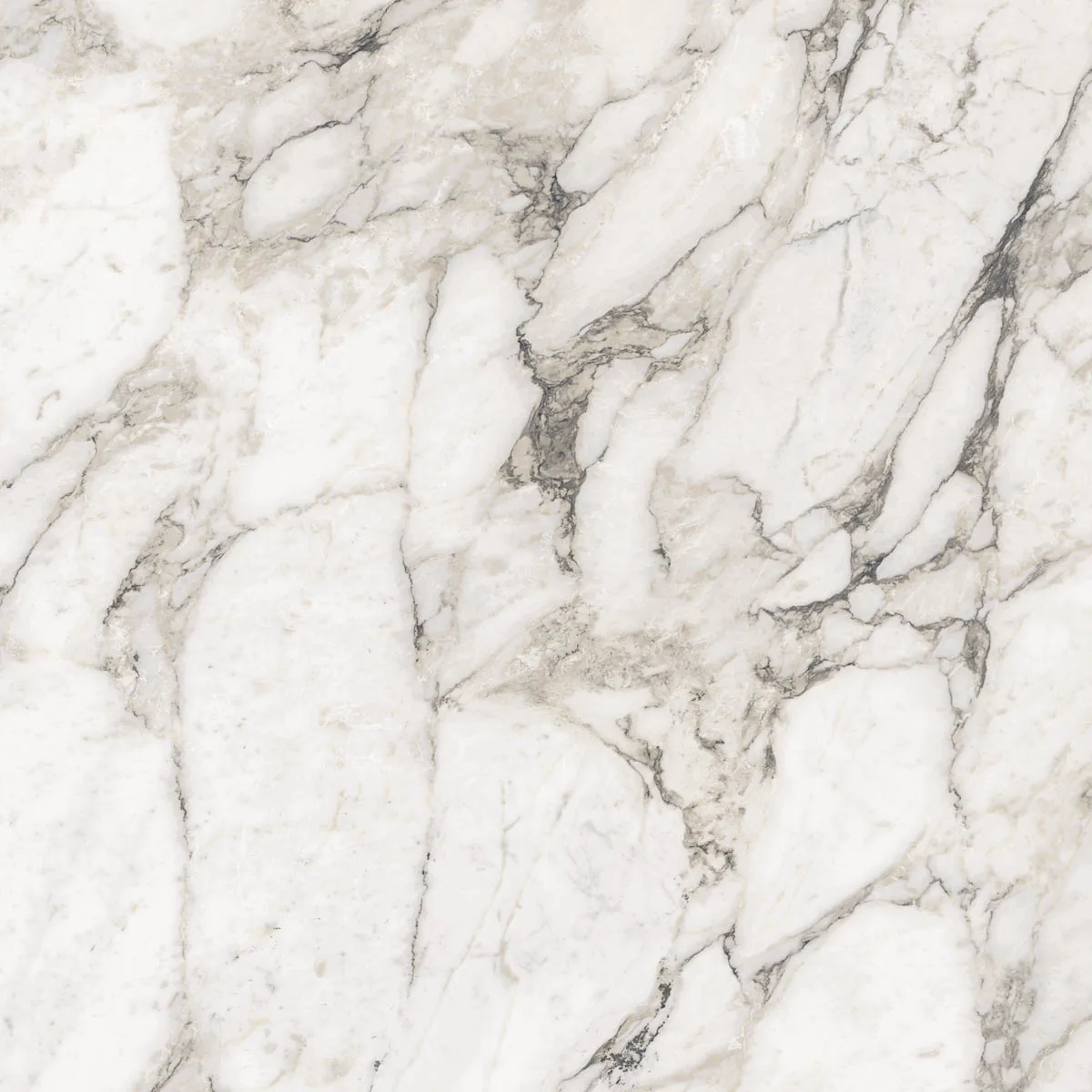 Grande Marble Look 120x120 Calacatta Extra M29N