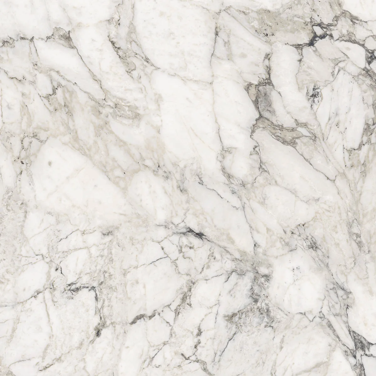 Grande Marble Look 120x120 Calacatta Extra M29N