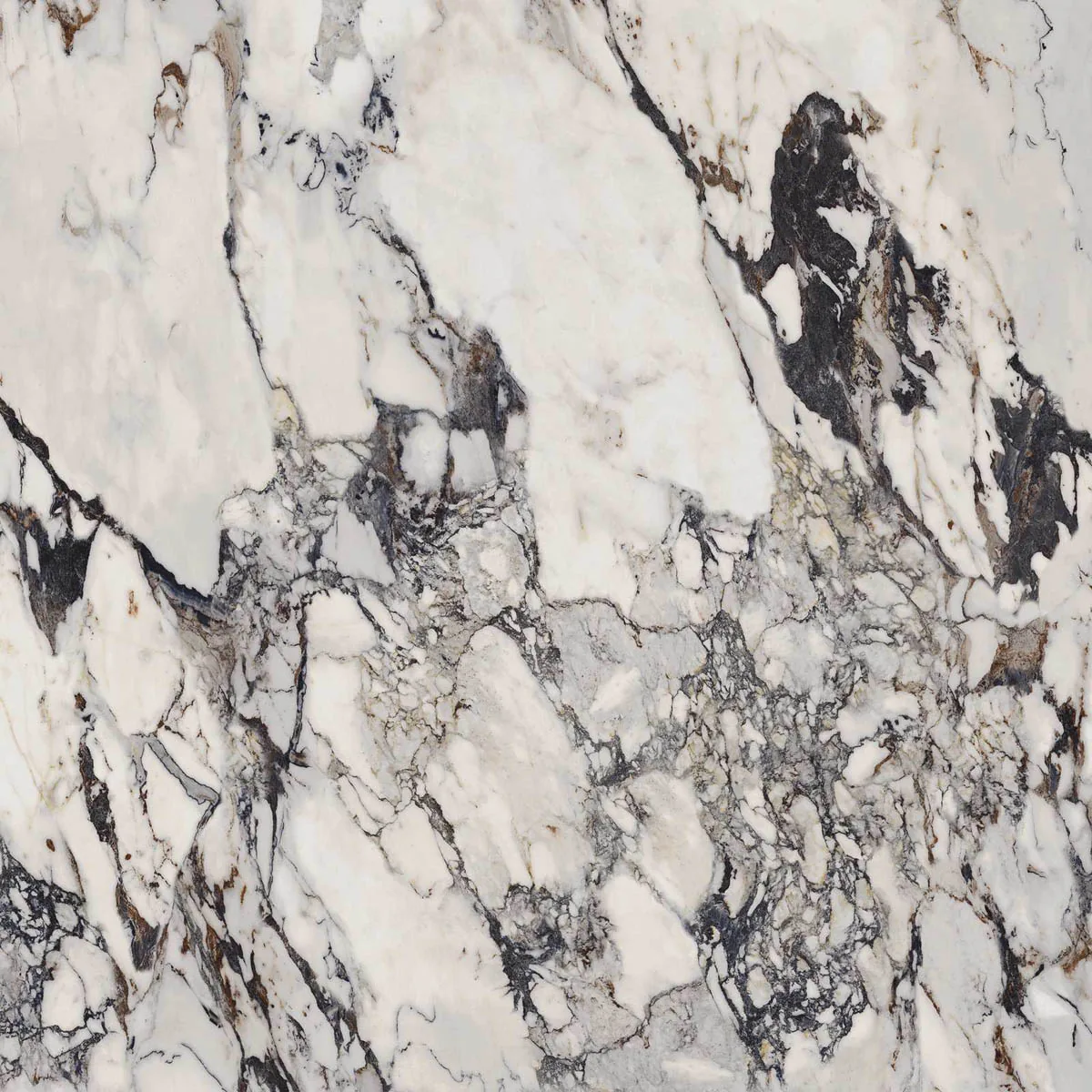 Grande Marble Look 120x120 Grande Marble Look Capraia M29S