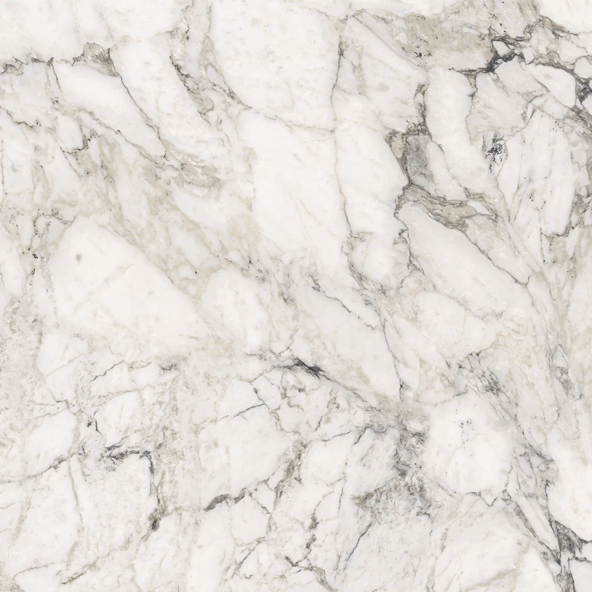 Grande Marble Look 120x120 Calacatta Extra lux M2AJ