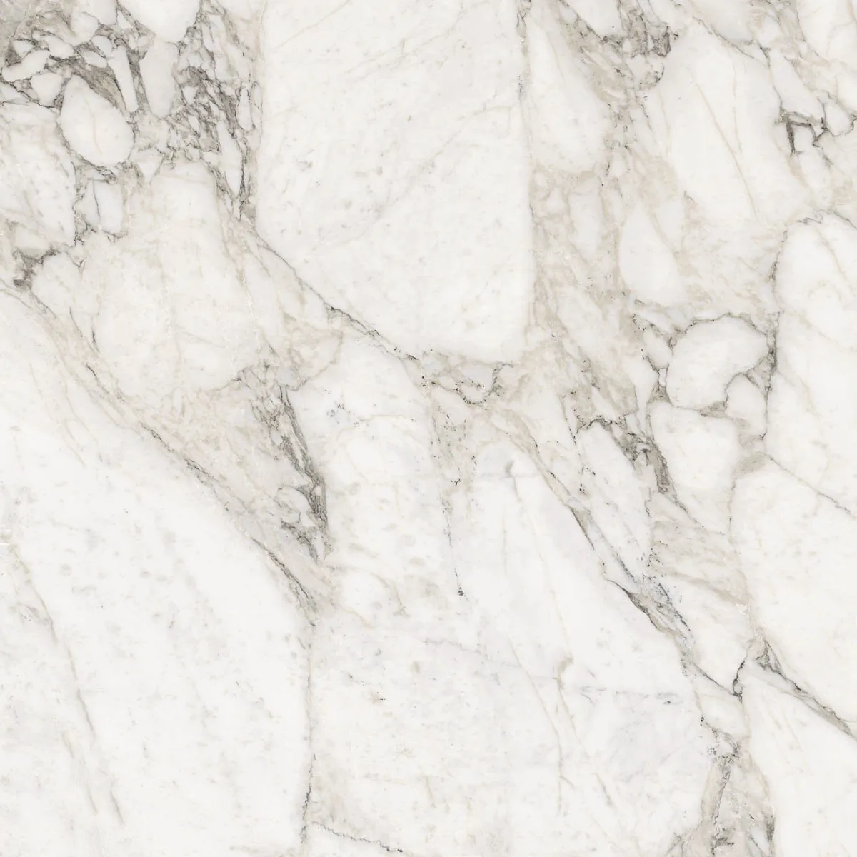 Grande Marble Look 120x120 Calacatta Extra lux M2AJ