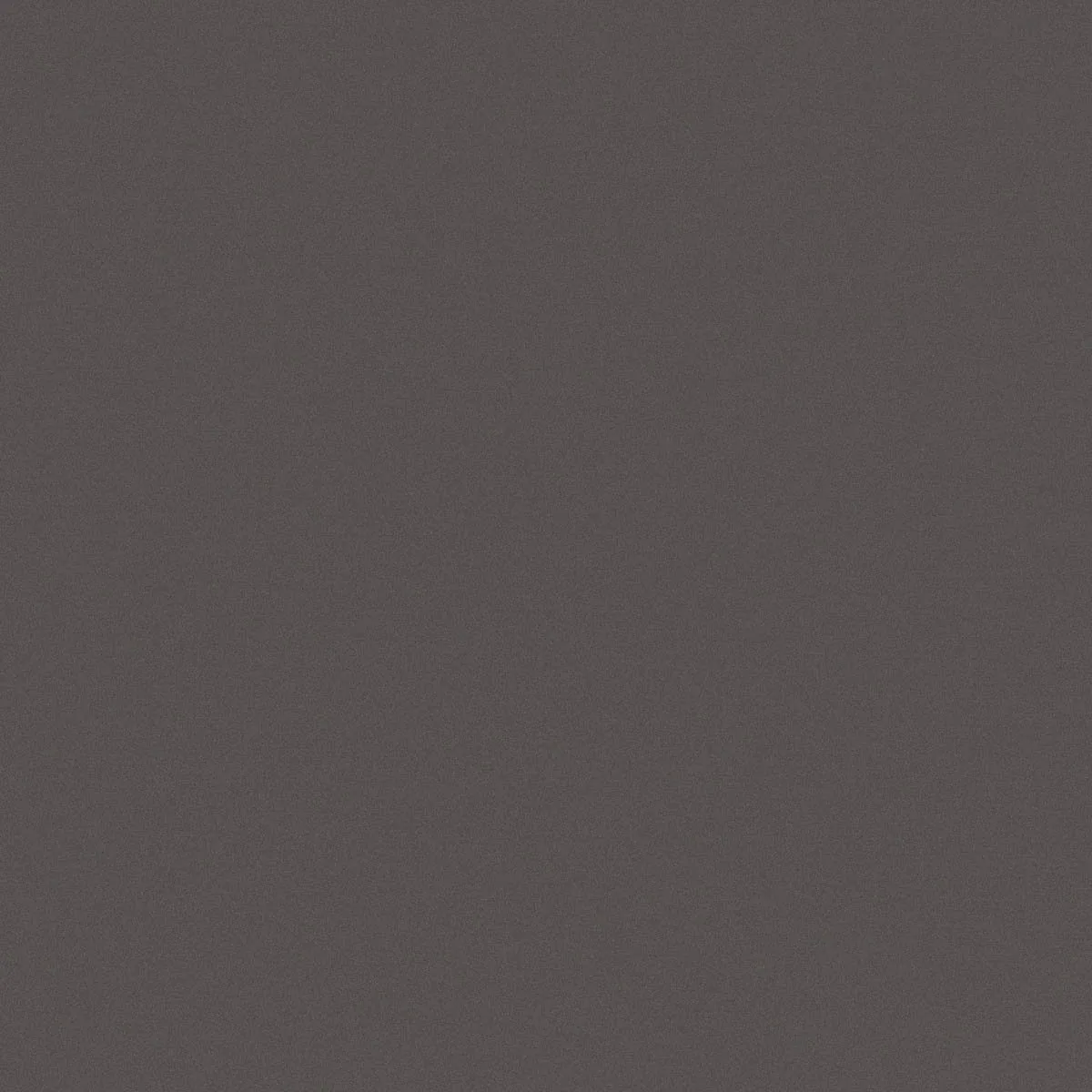 D_Segni Shadow 20X20 M2JG