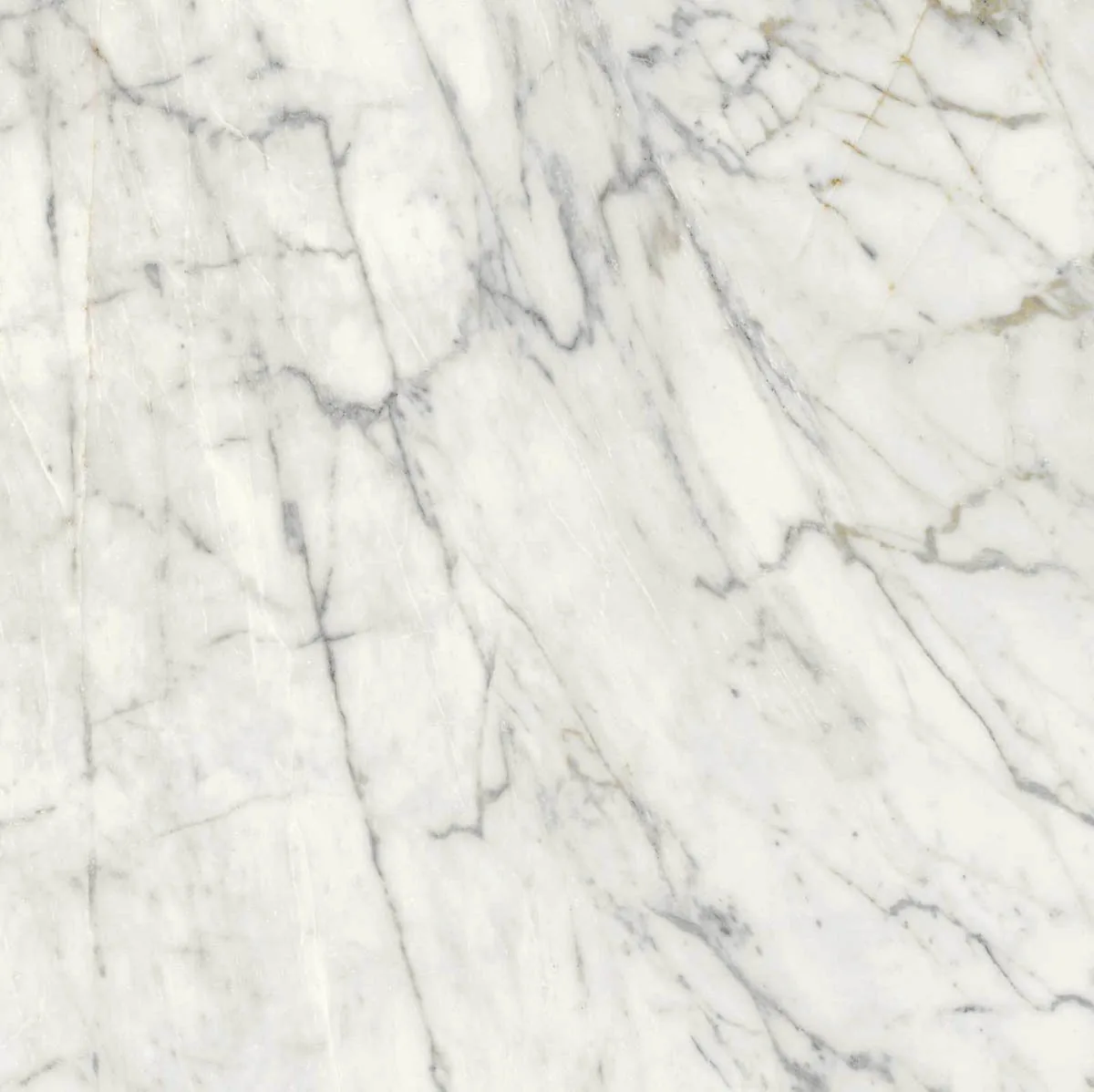 Grande Marble Look 120x120 Grande Marble Look Golden White M8AA