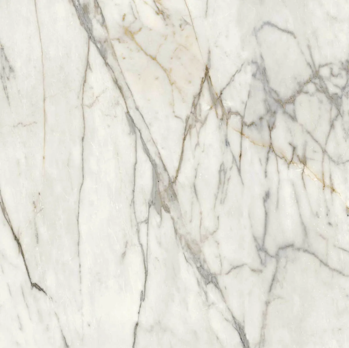 Grande Marble Look 120x120 Grande Marble Look Golden White M8AA