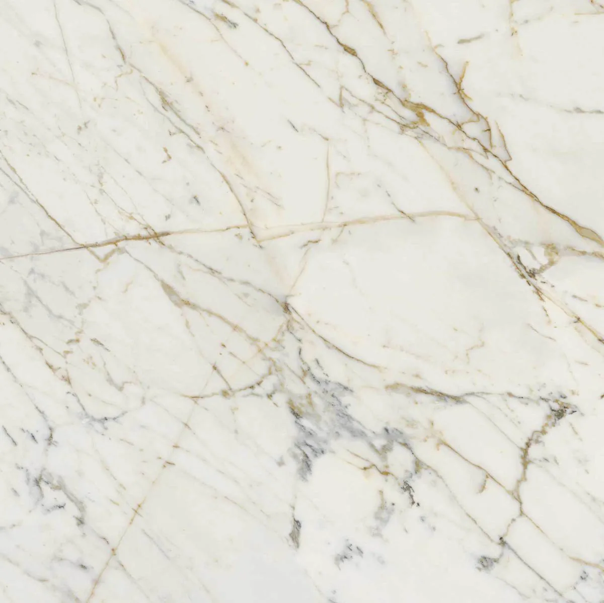 Grande Marble Look 120x120 Grande Marble Look Golden White M8AA
