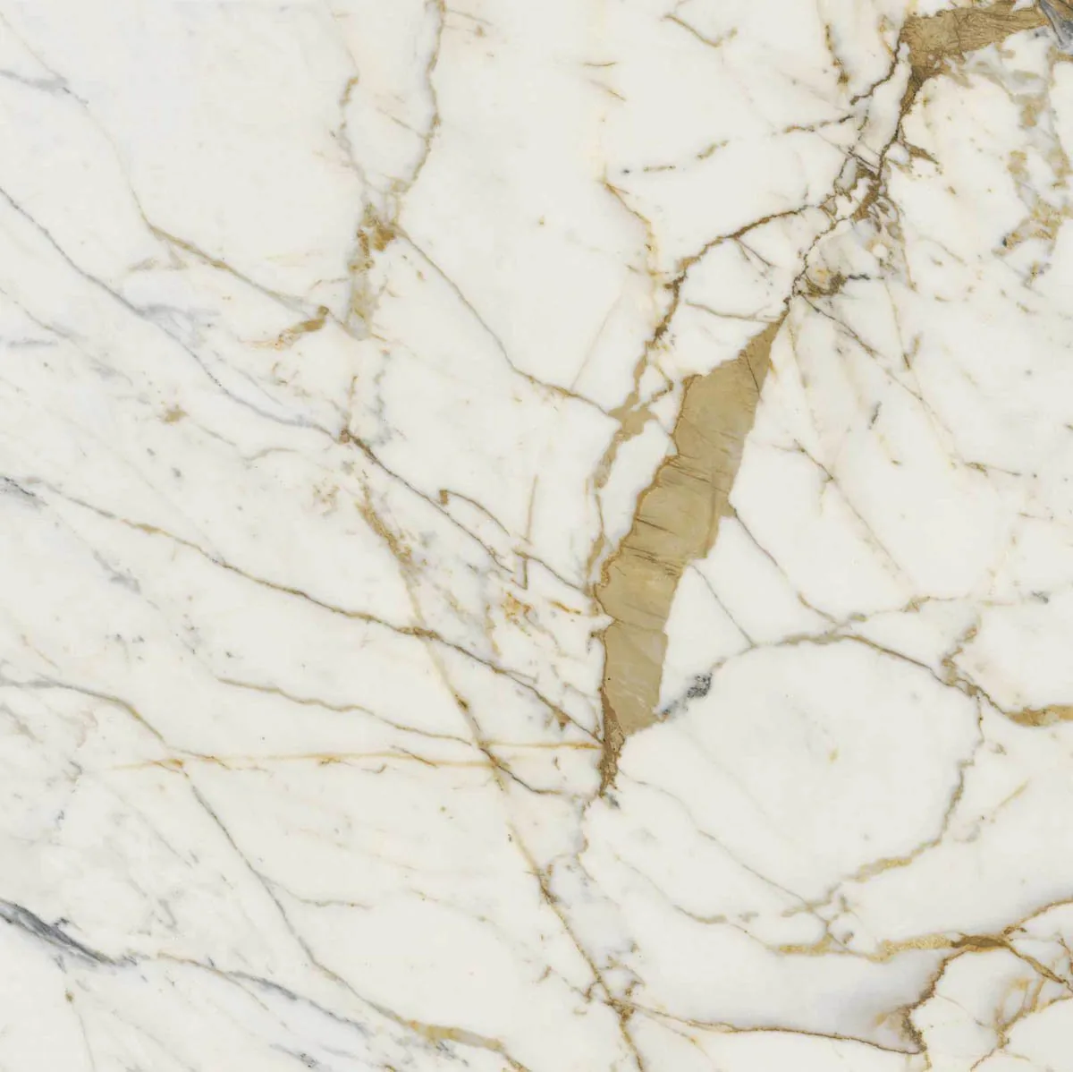 Grande Marble Look 120x120 Grande Marble Look Golden White M8AA