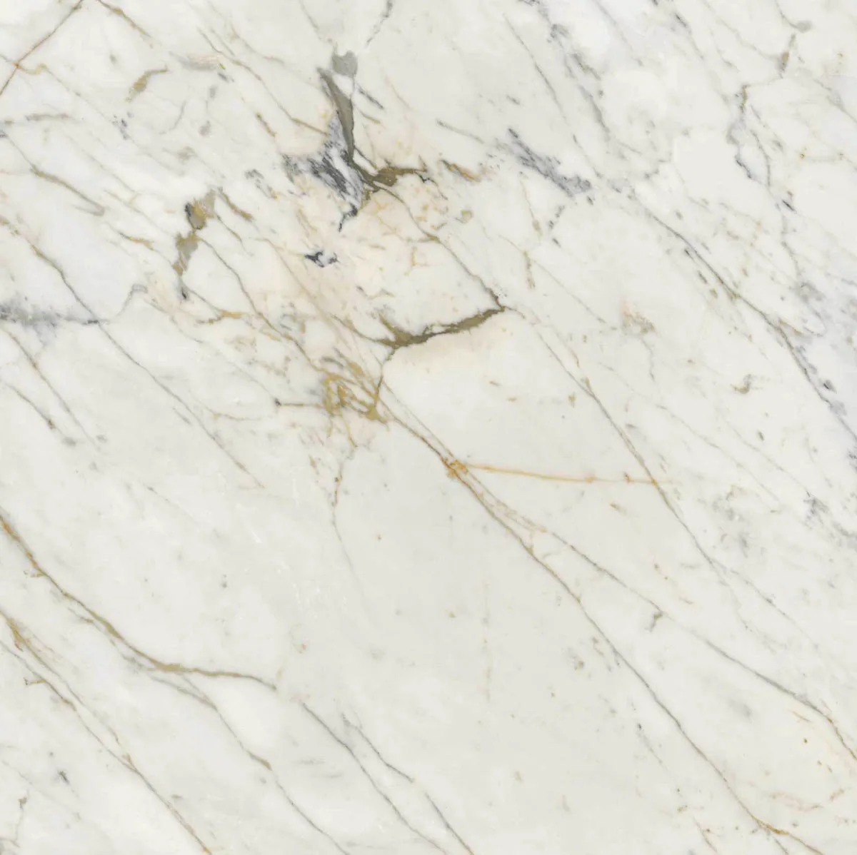 Grande Marble Look 120x120 Grande Marble Look Golden White M8AA