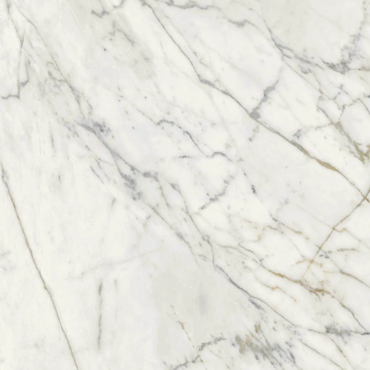 Grande Marble Look 120x120 Grande Marble Look Golden White M8AA