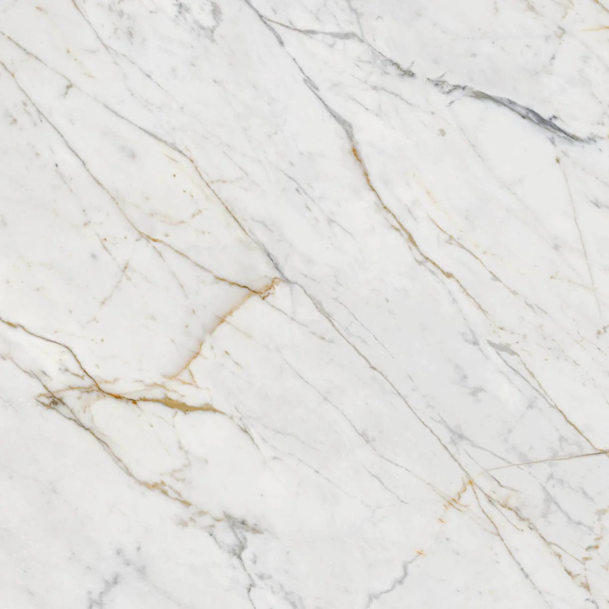 Grande Marble Look 120x120 Grande Marble Look Golden White M8AA