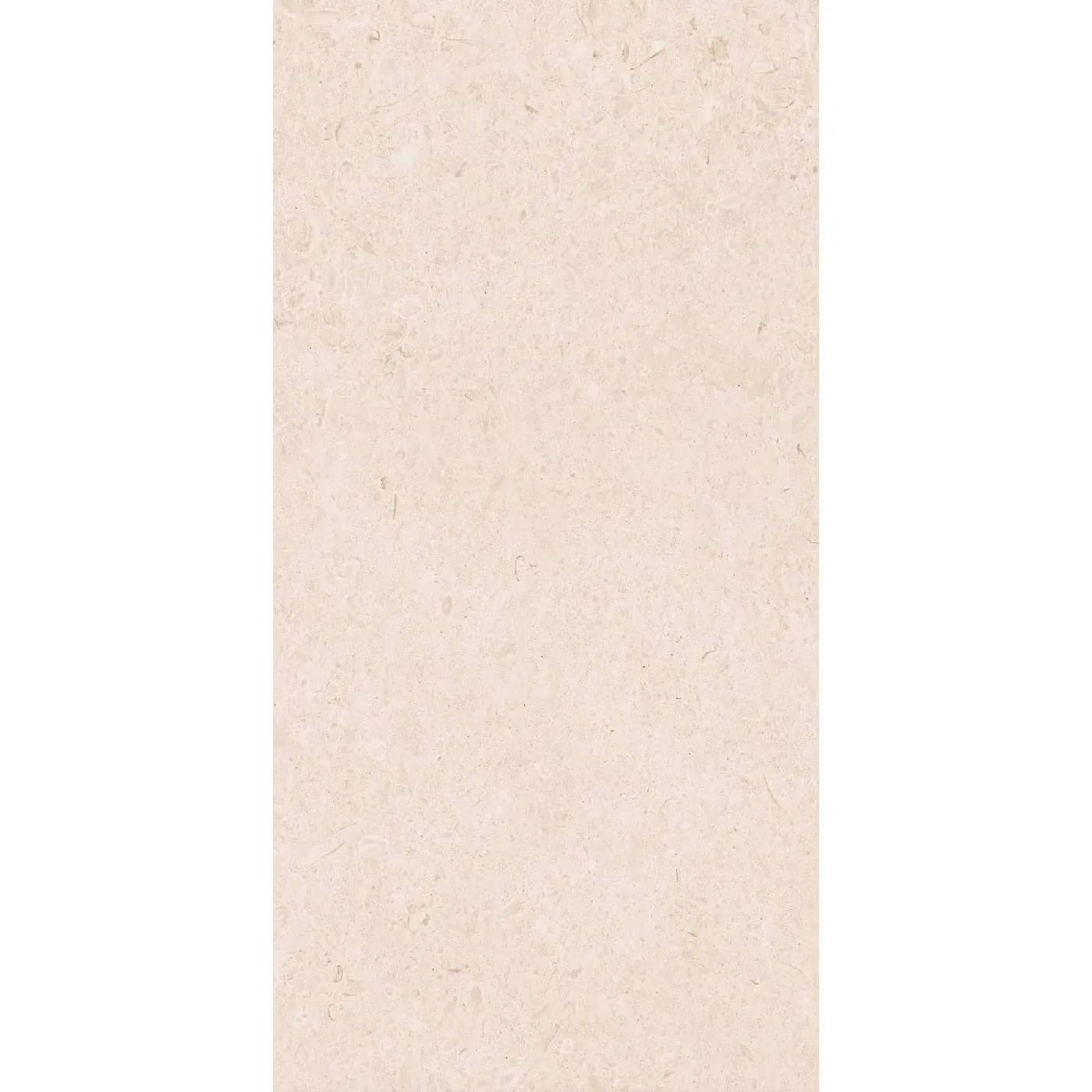 Caracter Blanco 60X120 M977