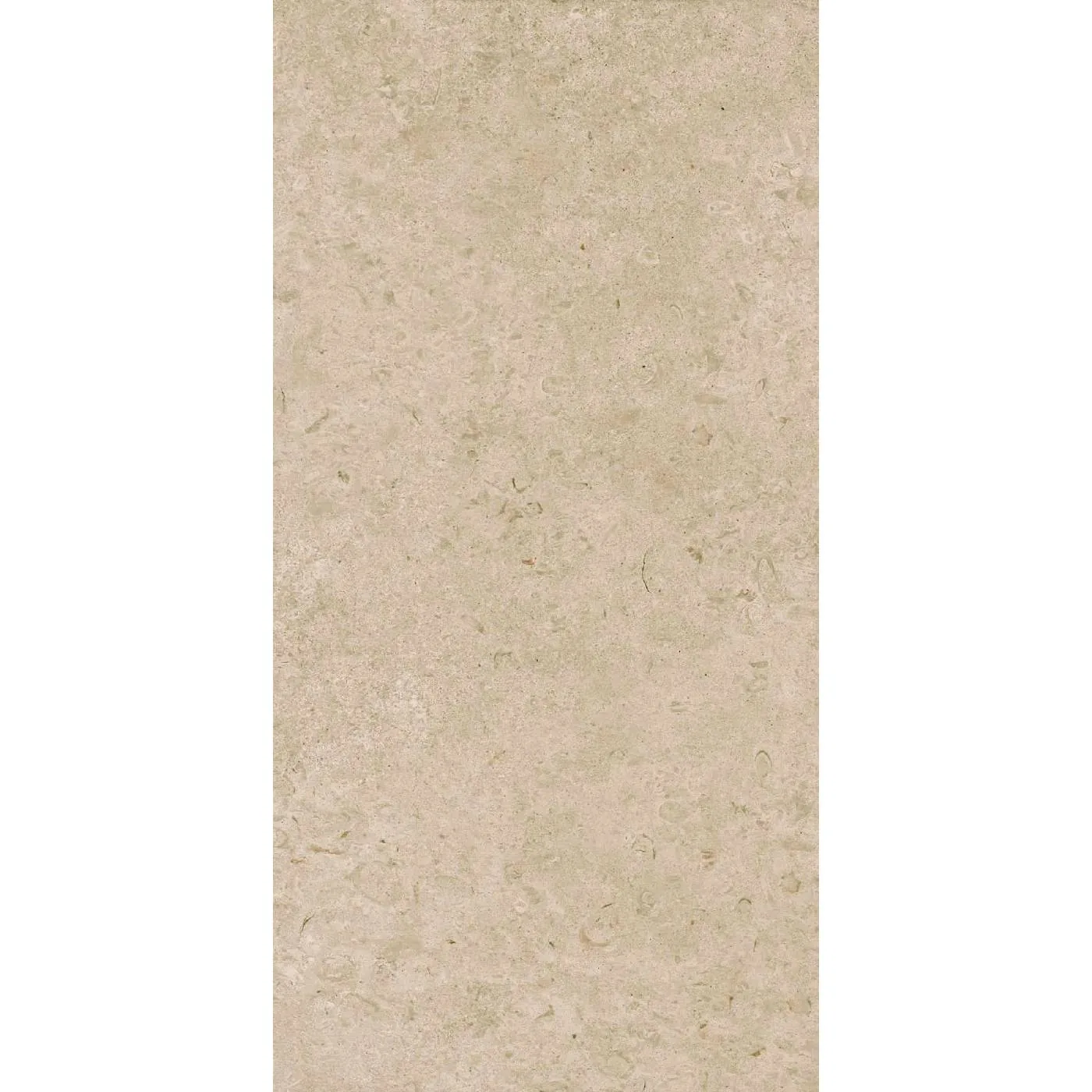 Caracter Greige 60X120 M979