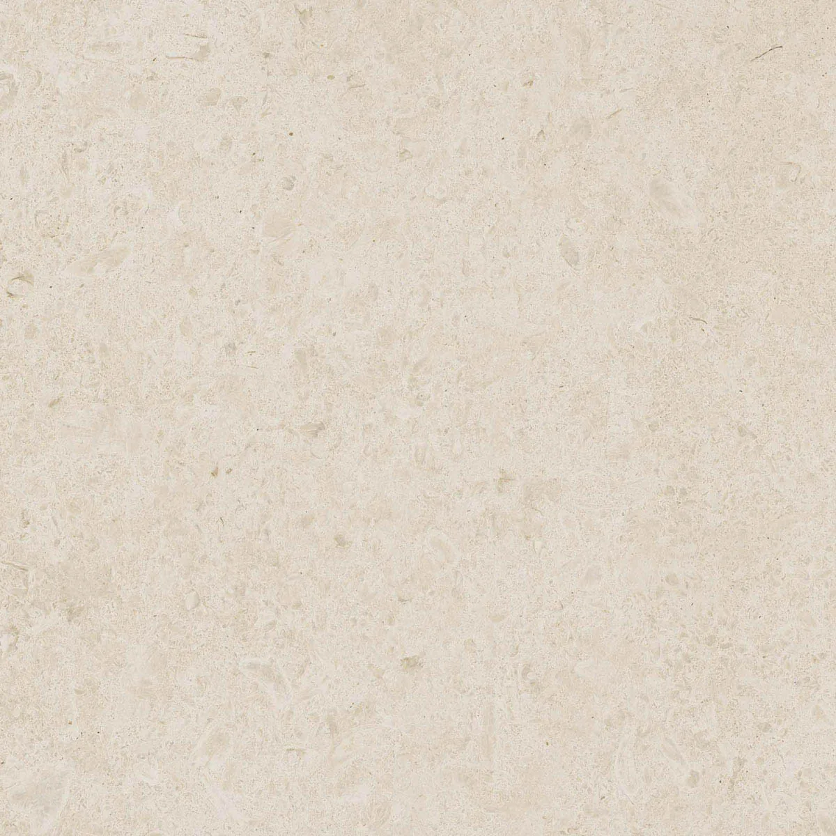 Caracter Blanco 60X60 M97F